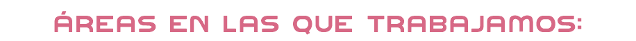 ÁREAS EN LAS QUE TRABAJAMOS:
